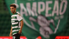 Pote renova hoje com o Sporting: conheça o novo valor da cláusula de rescisão