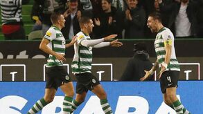 A crónica do Sporting-V. Guimarães, 1-0: Leões mais fortes sofreram até final