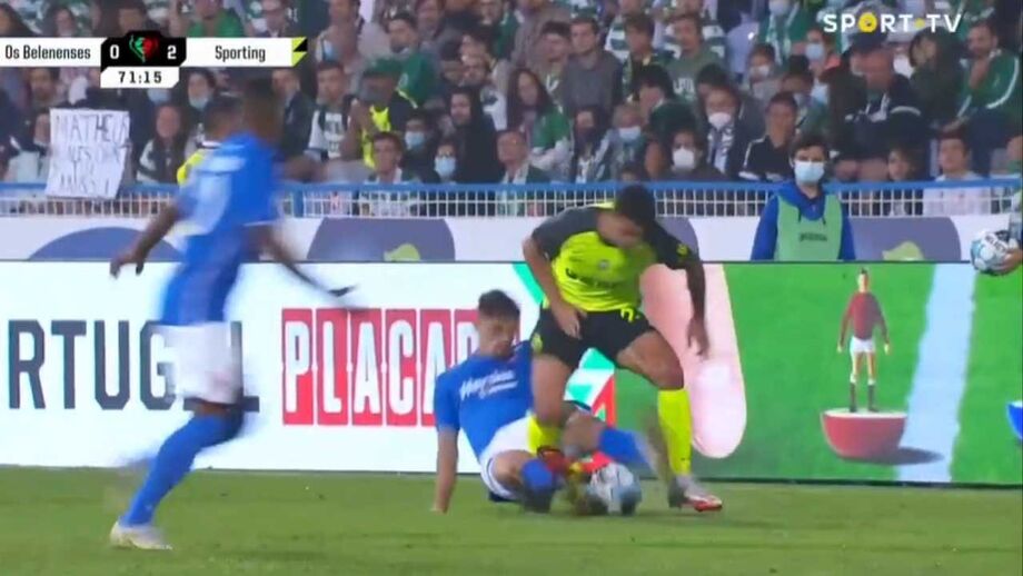 Verdão lidera o campeonato brasileiro