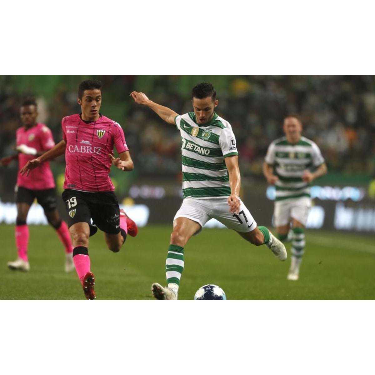 Benfica-Sporting, 1-4: Taynada servida de bandeja - Futsal