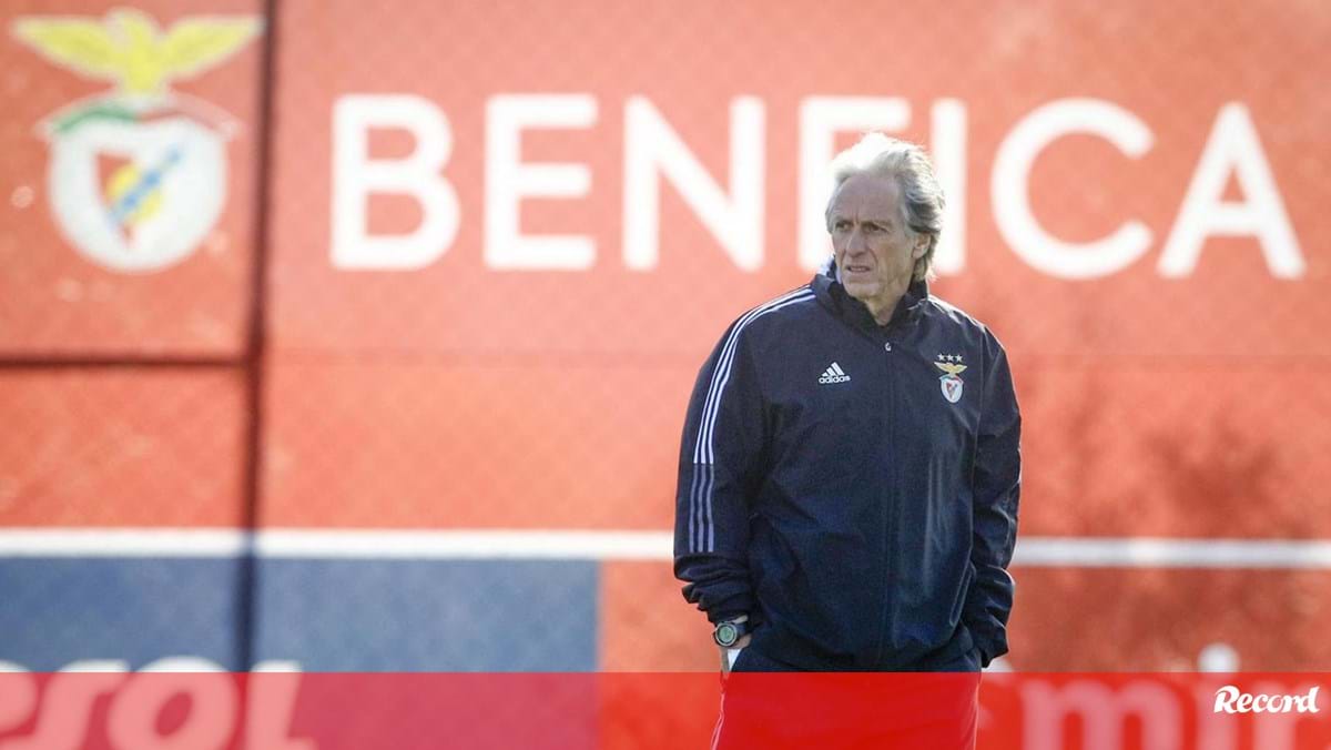 Futuro na Europa em jogo: o onze provável do Benfica para o jogo com o  Salzburgo - Fotogalerias - Jornal Record