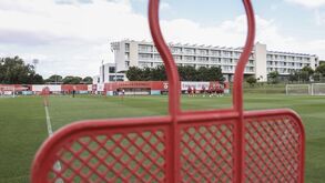 As imagens do último treino do Benfica antes do jogo com o Bayern Munique