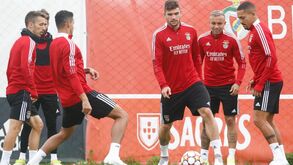 Benfica afina estratégia para o Bayern Munique: as imagens do último treino