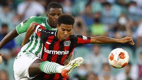 Bayer Leverkusen-Betis: conjuntos igualados no topo do Grupo G