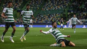 Jogadores do Sporting e o festejo do golo de Paulinho: «Amanhã mete Betadine nos joelhos!»