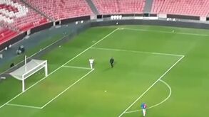 António Figueiredo: «Acho que o Benfica melhorou imenso»
