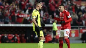 Densidade competitiva: jogadores de FC Porto, Sporting e Benfica mal têm tempo para respirar