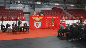 Grupo de 55 sócios lançou estas propostas para alteração aos estatutos do Benfica