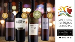 Casa Ermelinda Freitas ganha prémio de melhor vinho branco da Península de Setúbal