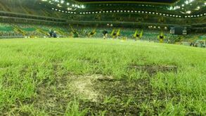 Mais um relvado a levantar problemas: toda a história dos oito tapetes de Alvalade