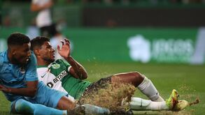 Relvado de Alvalade tramado pelo microclima