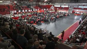Humberto Coelho entre 971 sócios do Benfica homenageados com emblemas do clube