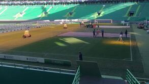 Tratamento de choque: parte do relvado de Alvalade já foi substituído