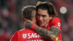 Empresário de Darwin em Madrid para tratar do futuro