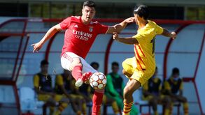 Milhões a voar na formação do Benfica: os craques em risco