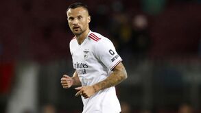 Jorge Jesus: a gestão de Seferovic, a comparação com Bryan Ruiz e os outros treinadores que também ajoelharam