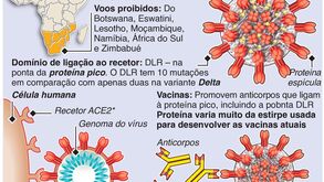 Nova variante da covid-19 chegou a Portugal: afinal, o que se sabe sobre a Omicron?