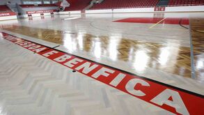 Pavilhões do Benfica com capacidade reduzida