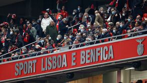Rui Costa e Frederico Varandas lado a lado na tribuna da Luz