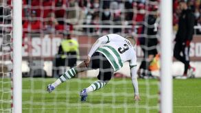 Feddal com lesão muscular