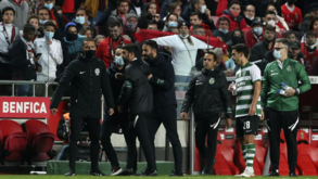 O momento da expulsão de Carlos Fernandes, adjunto de Rúben Amorim: Luisão também surgiu na discussão