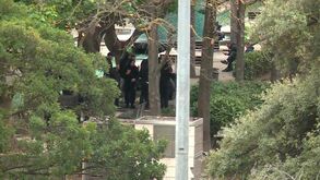 Novas imagens do caos que se viveu junto ao Estádio da Luz