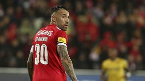 Assaltantes de Otamendi foram perseguidos pela GNR mas conseguiram fugir