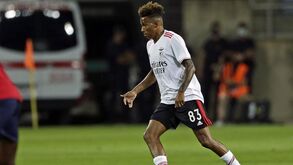 Operação Malapata: as cinco transferências de jogadores do Benfica que a PJ analisa
