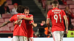 O resumo do Benfica-Sp. Covilhã: golos, casos e outros lances