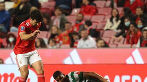 Tomás Araújo convence