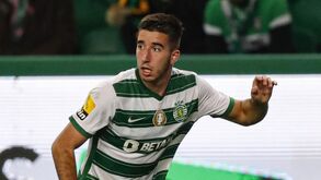 Gonçalo Inácio foi o melhor jogador jovem em novembro