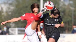 A crónica do Clube Albergaria-Benfica, 0-4: resposta ao adeus europeu