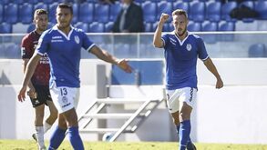Trofense-Feirense, 0-1: Goleador Petkov impõe primeira derrota a Francisco Chaló