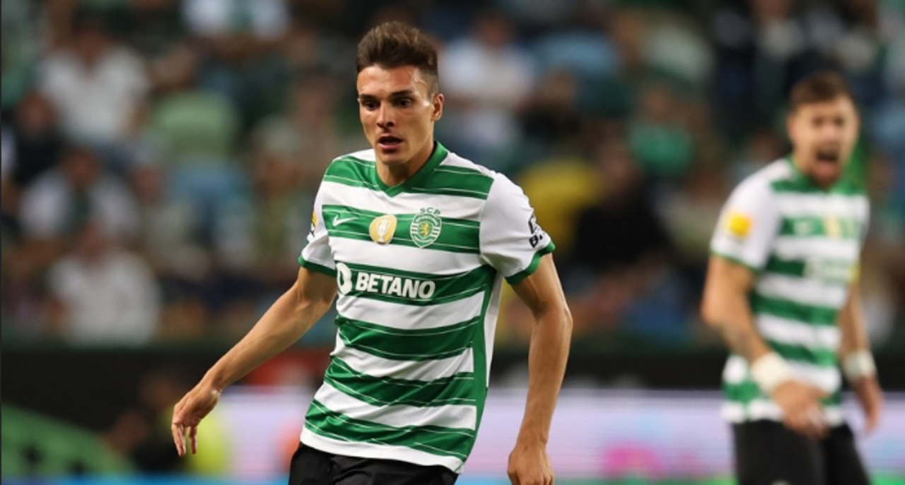 Palhinha é um dos leões de maior impacto no mercado