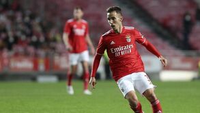 Renovação de Grimaldo é possível: «Jogador tem mercado em Espanha, mas sente-se bem em Portugal»