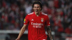 Darwin ausente do treino do Benfica pelo nascimento do filho