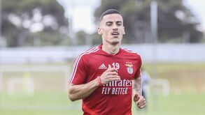 Chiquinho com mercado