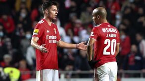 O resumo do Benfica-P. Ferreira: golos, casos e outros lances