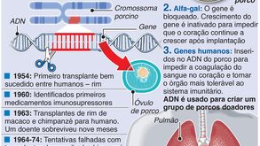 O primeiro transplante de coração de um porco para um homem