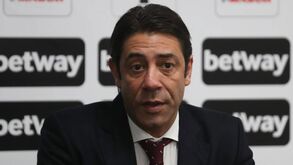 Rui Costa e o seu nome nos contratos: «Não implica que eu estivesse em conluio»