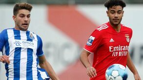 Rui Costa quer apostar na formação: Quem pode entrar no elevador e subir à equipa principal?