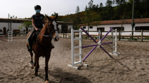 Federação Equestre Portuguesa lança programa para impulsionar a modalidade