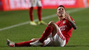 Grimaldo: «Contra estas equipas... não quero faltar ao respeito, mas somos o Benfica»