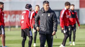 Benfica prepara deslocação a Arouca: veja as imagens