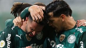 Palmeiras é o melhor clube do mundo no ranking da IFFHS 