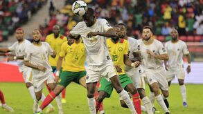 Tubarões azuis sem medo frente ao Senegal
