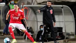 Nélson Veríssimo destaca entrega dos jogadores do Benfica: «Correram, lutaram...»