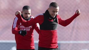 Flamengo insiste em Everton