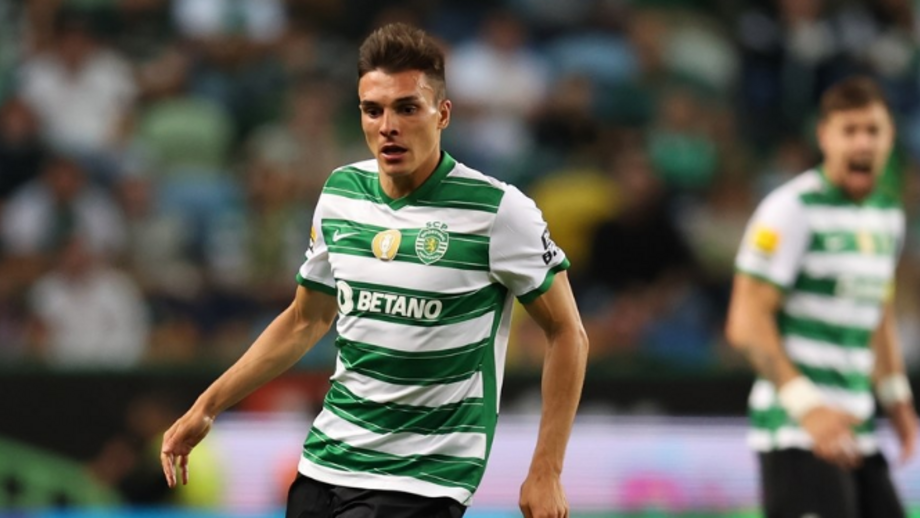 Palhinha é um dos leões de maior impacto no mercado