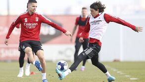 Darwin de volta: as imagens do treino do Benfica